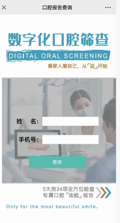 报告查询